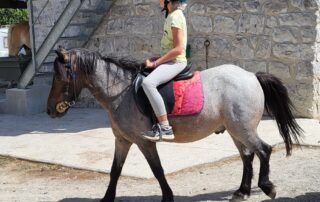 Balades à poneys et stages poneys à thème