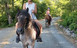 Balades à poneys et stages poneys à thème