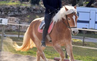 Randonnée Équestre Accompagnée - Equitation Chavetourte