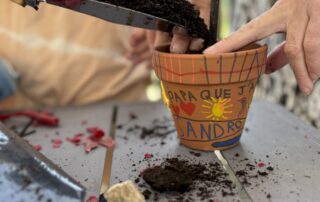 My Little Vine_Ruoms