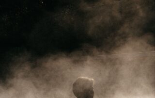 L'offre de soins du SPA Séquoia Redwood