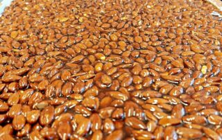 Nougat - Le Petit Ardéchois