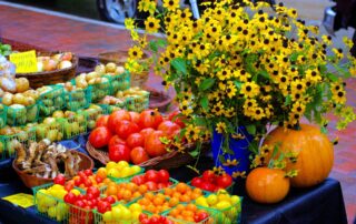 The Plateau market_Bidon