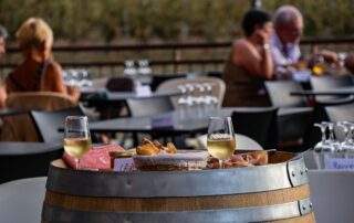 Concert So Many avec Marianne Molina au domaine Terra Noé_Rochecolombe