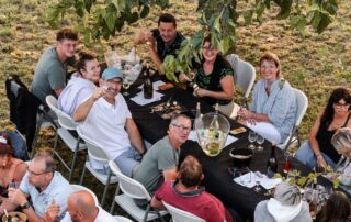 Switch concert at Domaine Terra Noé_Rochecolombe
