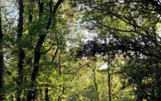 Grignan : Nature et Village