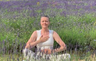 Reconnexion à la Nature : détente, plantes médicinales et cueillette