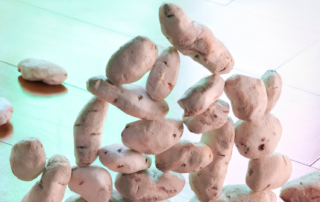 Visite famille : 1001 Patates