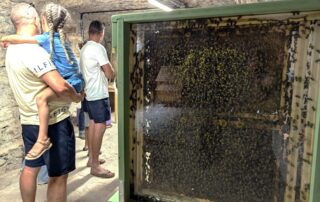 Visite de la Miellerie à la Ferme des Abeilles_Lagorce