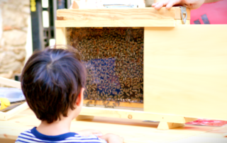 Visite de la Miellerie à la Ferme des Abeilles_Lagorce