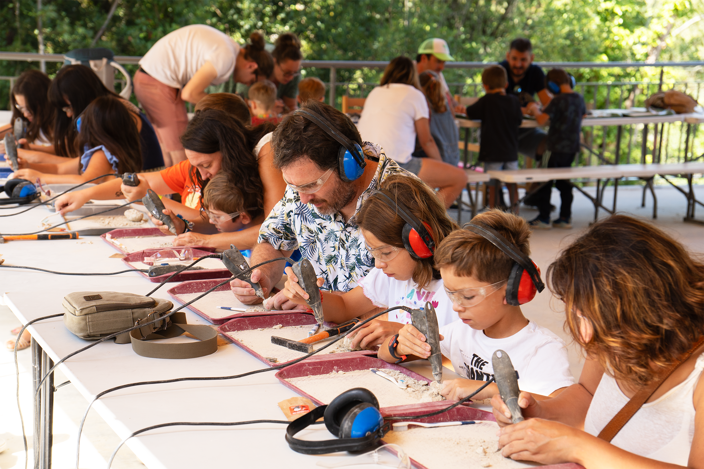 Ateliers extraction de fossiles