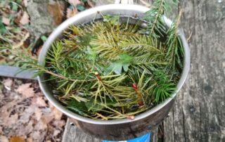 Trucs et astuces de trappeurs cévénols