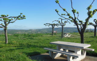 Picnic area of the road 102