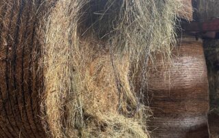 Le vin et le fin gras du Mézenc _Néovinum Ruoms Ardèche