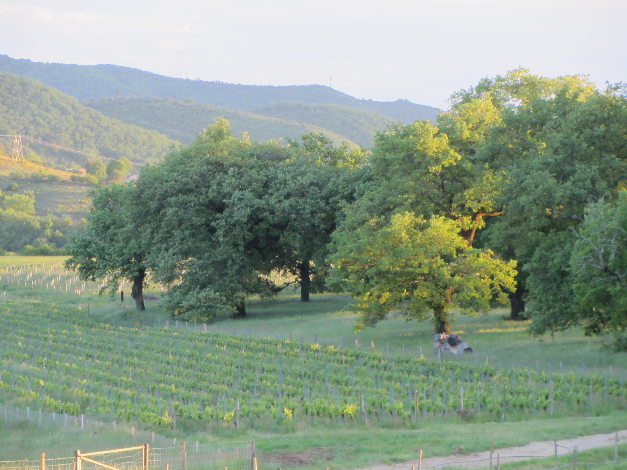 Domaine Olivier de Serres à Mirabel