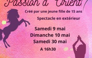 Dance performance Passion of the Orient_Lussas