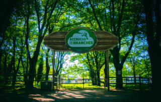 Parc de loisirs Accroche-toi aux branches