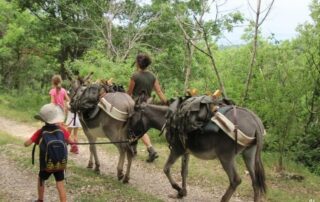 Suivez les ânes pour une balade en pleine nature dans le cadre des animations de l'Espace Naturel Sensible à Darbres