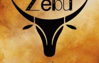 Zebu concert as part of the market_Darbres