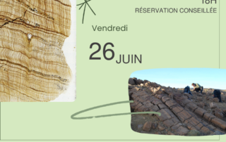 Apéro-conférence « Voyage en paléoxylologie » 400 millions d&rsquo;années d&rsquo;histoire du bois
