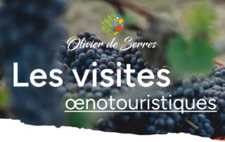 Visites Oenologiques au Domaine Olivier de Serres_Mirabel