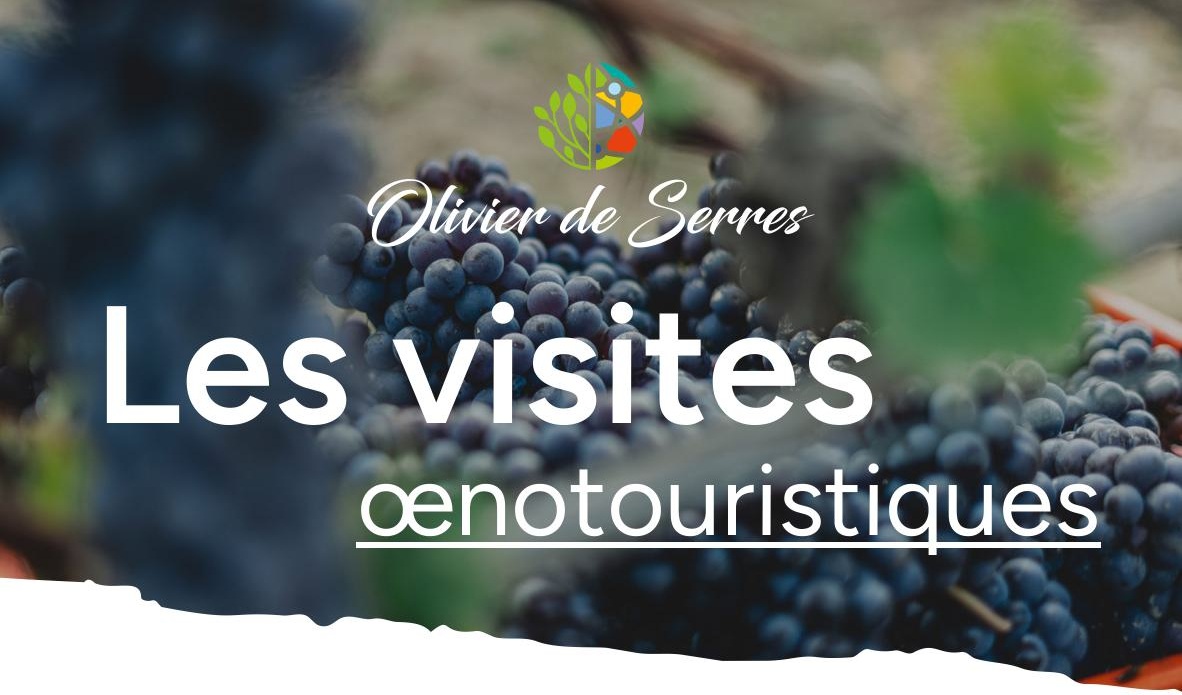 Visites Oenologiques au Domaine Olivier de Serres à Mirabel