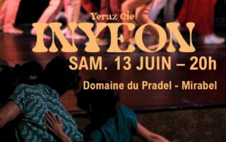 Déambulation dansée et musicale et spectacle