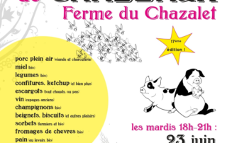 Le petit marché de producteurs version été_Chazeaux