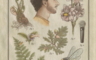 Remi Boyes - Bombus terrestis