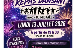 Dinner dance and fireworks_Lussas