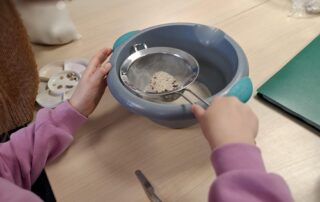 Atelier carpologie