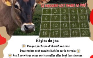 Loto Bouse_Sceautres