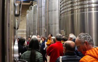 Visites guidées du chai Ruoms