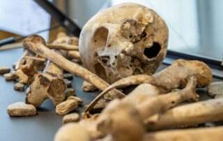 Table ronde à l&rsquo;Aven d&rsquo;Orgnac :  Regard(s) sur la mort de la Préhistoire à aujourd&rsquo;hui