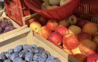 Producteurs de fruits Sylvain Dupont à Saint-Jean-le-Centenier
