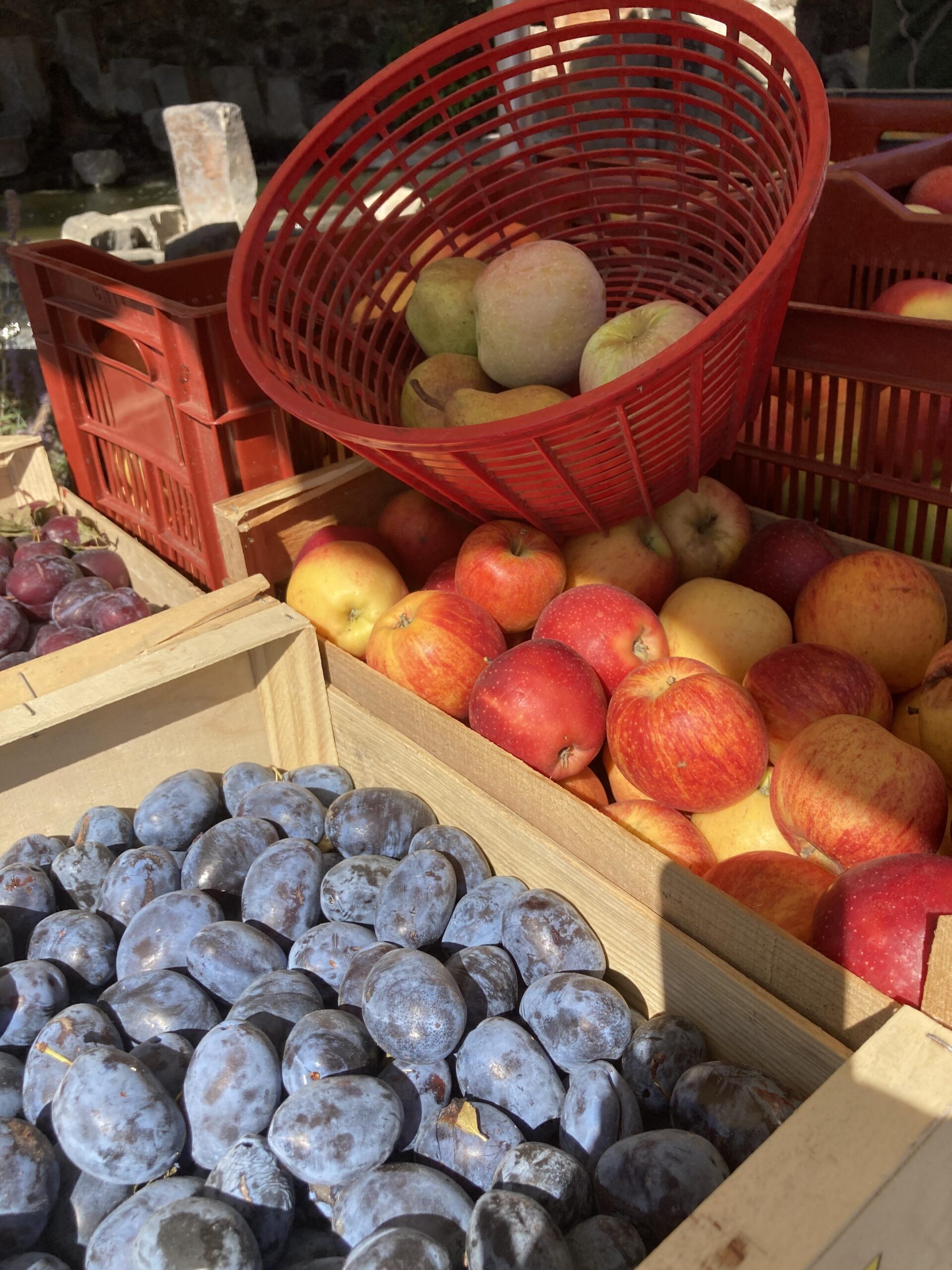 Producteurs de fruits Sylvain Dupont à Saint-Jean-le-Centenier