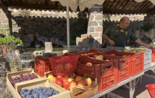 Producteurs de fruits Sylvain Dupont_Saint-Jean-le-Centenier