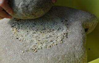 FETE DE LA SCIENCE : SAVEURS SAVANTES ET GALETTES PREHISTORIQUES A L'AVEN D'ORGNAC_Orgnac-l'Aven