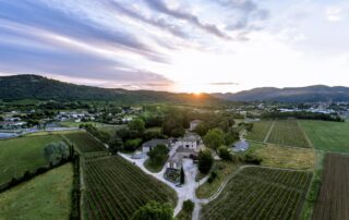 Autumn Harvest Evening at the Colombier Estate_Vallon-Pont-d'Arc