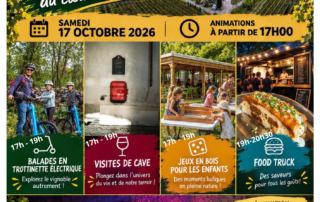 Autumn Harvest Evening at the Colombier Estate_Vallon-Pont-d'Arc