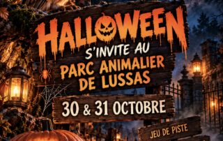 Halloween special at the park
