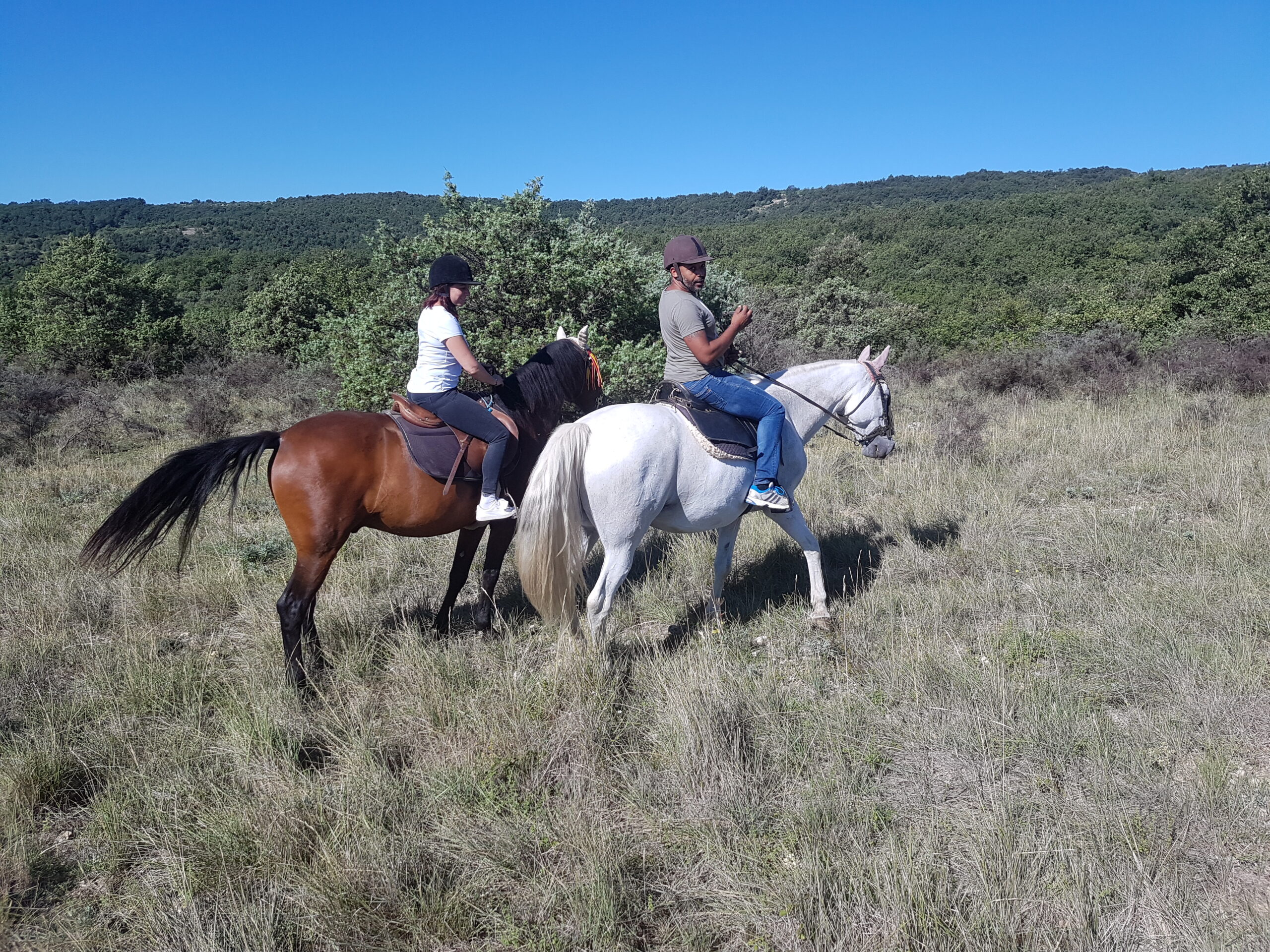 Balade à cheval avec le Relais de Vazeille