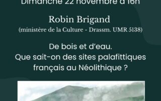 Conférence gratuite “De bois et d’eau. Que sait-on des sites palafittiques français au Néolithique ?”