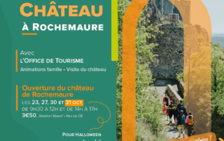 Château de Rochemaure_Rochemaure