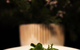 La Terrasse de Mirabel - Restaurant / Bar / Salon de thé_Mirabel