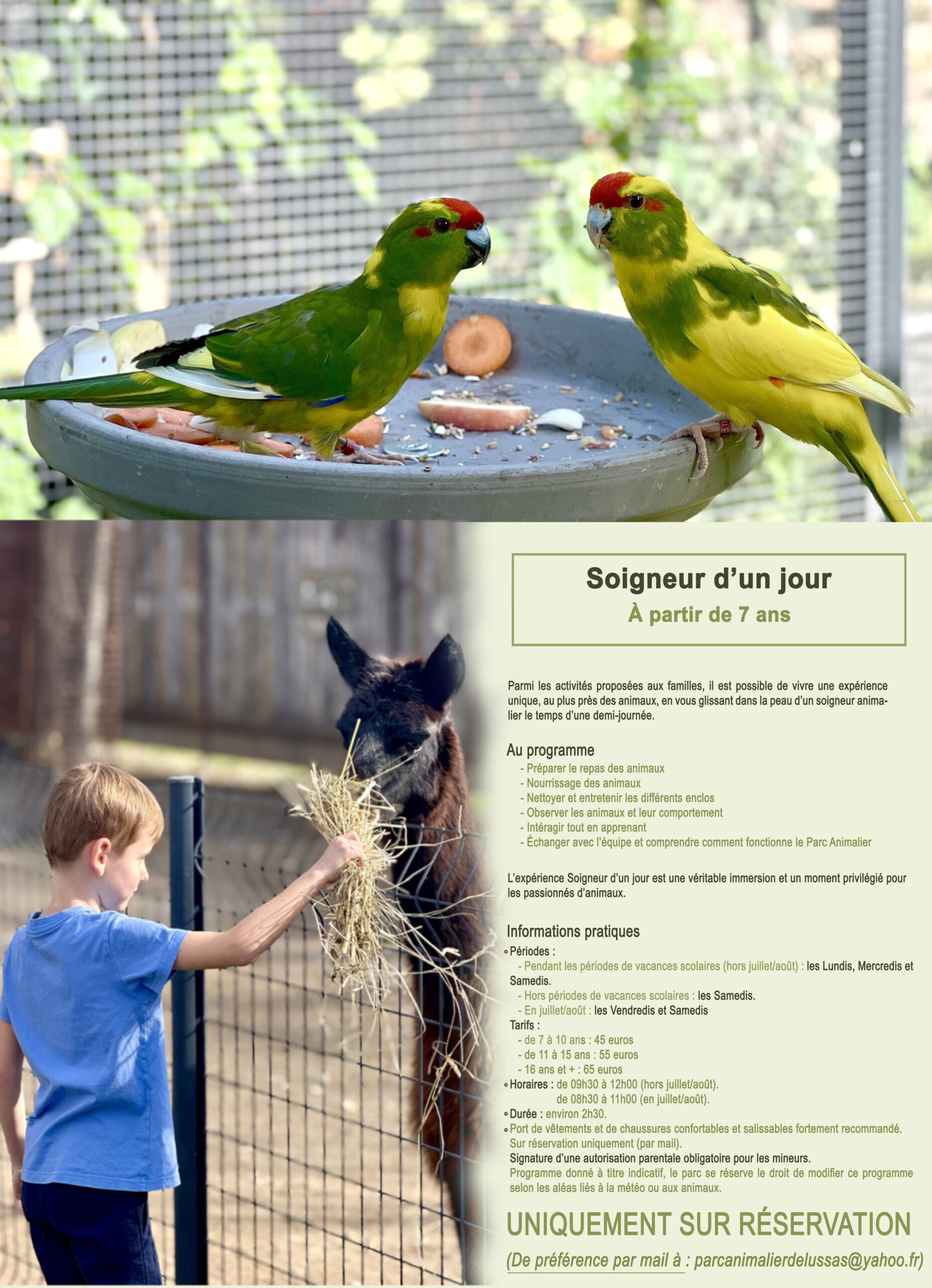 Soigneur d'un jour au Parc animalier de Lussas