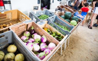 Marché des producteurs – Ailhon Marché des producteurs – Ailhon