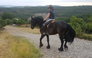 Equestrian farm Le Relais de Vazeille Equestrian farm Le Relais de Vazeille