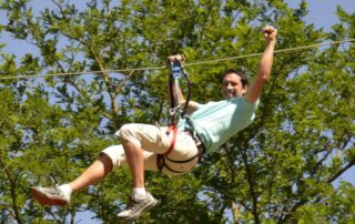 Accroche toi aux branches