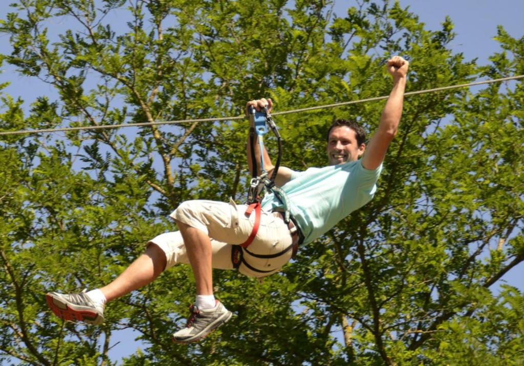 Accroche toi aux branches